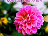 Thank you for being here