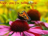 Thank you for being here