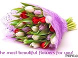 The most beautiful flowers for you!
