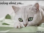 Thinking about you