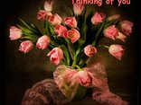 Thinking of you