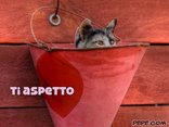 ti aspetto