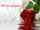 Ти моє кохання