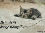 Ти мені дуже потрібна