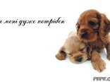 ти мені дуже потрібен