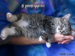 ti proteggero