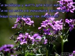 Ти знайдеш у житті для кого жить...
