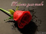 Тільки для тебе