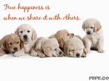 True happiness is when we share it with others.