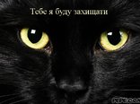 Тебе я буду захищати 