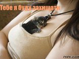 Тебе я буду захищати