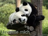Umarme mich