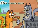 В біді пізнаєш друга