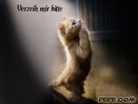 Verzeih mir bitte