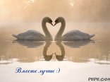 Вместе лучше :)