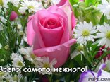 Всего самого нежного!