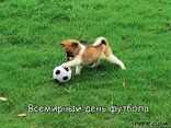 Всемирный день футбола