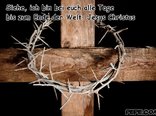 W krzyżu cierpienie, w krzyżu zbawienie, w krzyżu miłości nauka...