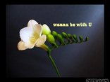 wanna be with U