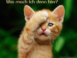Was mach ich denn hier?