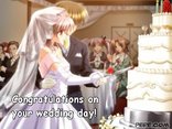Wedding day