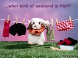 ...what kind of weekend is that?