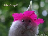 What's up?
