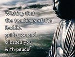 Wishing that  the teachings of the Buddha guide you and blesses you with peace!