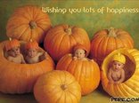 Wishing you lots of happiness