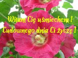 Witam Cię uśmiechem Wiosny !