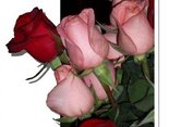 With every moment I love you more and more ...