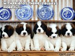 With friends there is always more fun!