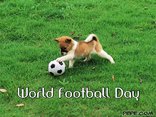 World Football Day