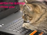 Write me quickly! I miss you