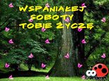 Wspaniałej soboty Tobie życzę 