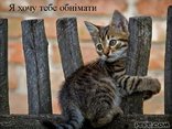 Я хочу тебе обнімати 