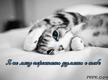 Я не могу перестать думать о тебе