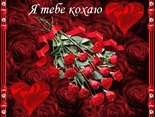 Я тебе кохаю 