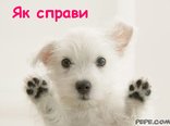 Як справи