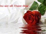 You are all I have dear ...