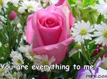 You are everything to me
