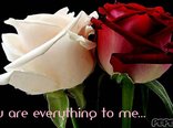 You are everything to me