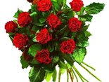 You Are My Love!