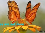 You are not alone
