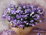 Yours