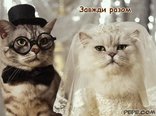 Завжди разом