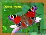 Життя чудове!