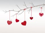 heart-branch.jpg