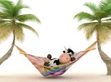 Mac%20Funny%20Wallpaper%20For%20a%20Relaxing%20Vacation-33213.jpeg 