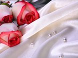 roses-4477-2560x1600.jpg